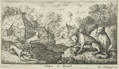 Renards (Vulpes le Renard) (Verschillende diersoorten) - Albert Flamen