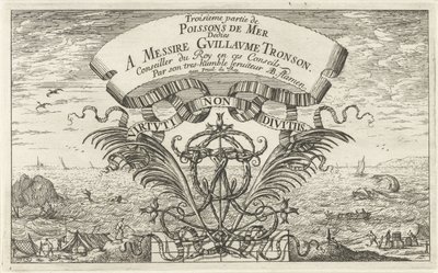 Vue de mer - Albert Flamen