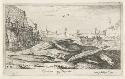 Six éperlans sur la plage (Eperlanus. L