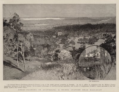 Élevage de moutons en Australie, une station modèle près de Ballarat - Albert Henry Fullwood