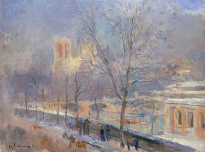 Notre-Dame de Paris vue du quai de la Tournelle, effet de nuit - Albert Lebourg