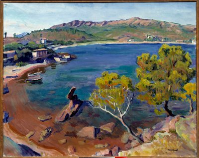 Paysage du Midi, 20ème siècle (huile sur toile) - Albert Marquet