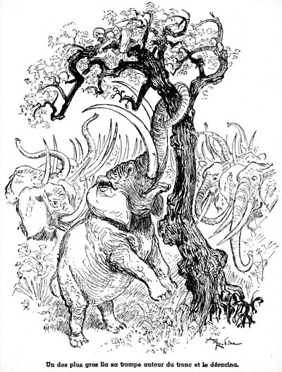 Sindbad le marin - conte des mille et une nuits - illustration d