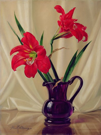 Amaryllis, dans un pichet en verre foncé - Albert Williams