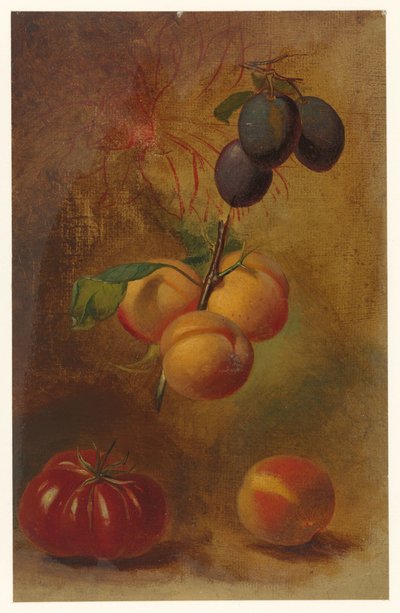 Nature morte avec prunes, abricots et tomate - Albertus Steenbergen