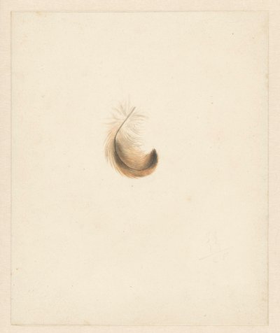 Étude d