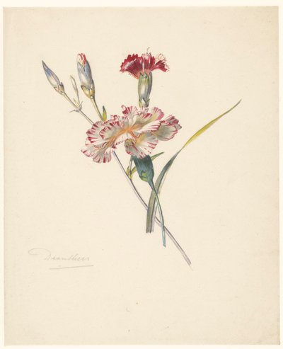 Feuille d
