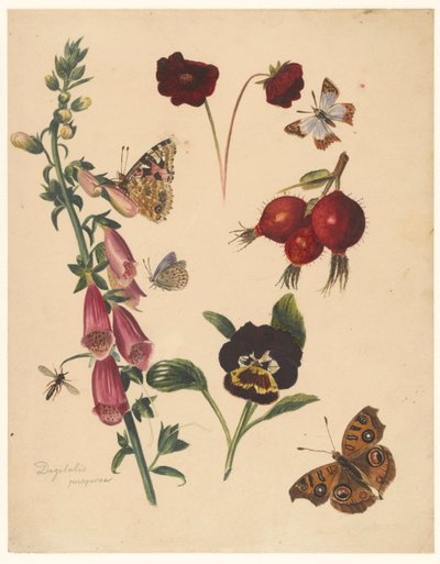 Feuille d
