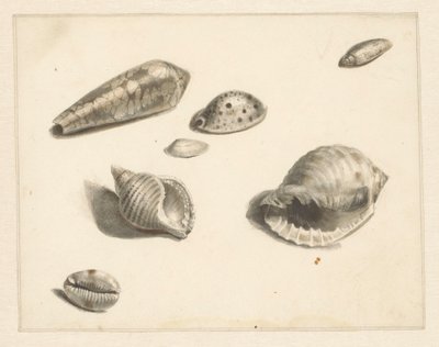 Feuille d