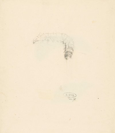Feuille d