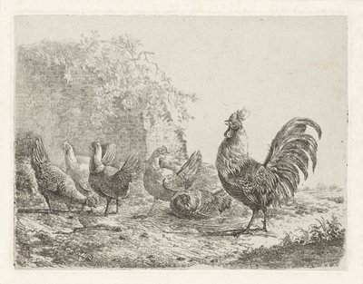 Coq avec cinq poules - Albertus Verhoesen