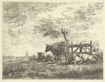 Vaches près d