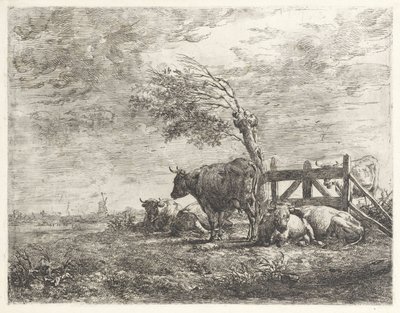 Vaches près d