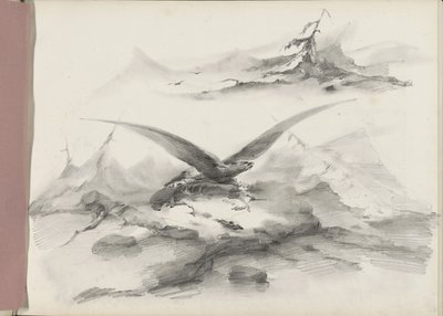 Aigle volant au-dessus d