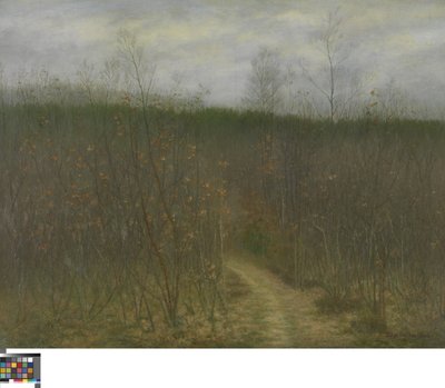 Taillis à Laethem-Saint-Martin - Albijn Van den Abeele