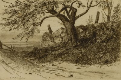 Route de campagne - Albion Harris Bicknell