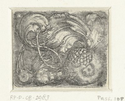 Grenade et vrilles - Albrecht Altdorfer