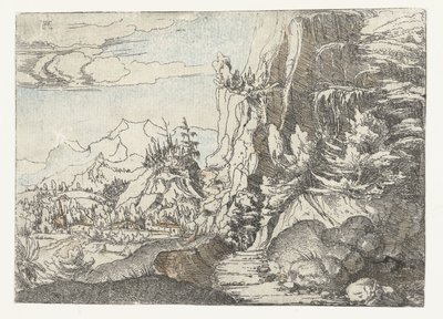 Paysage avec paroi rocheuse sombre - Albrecht Altdorfer