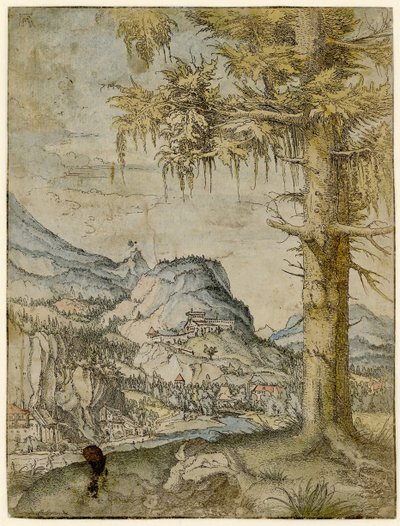 Grand Épicéa - Albrecht Altdorfer