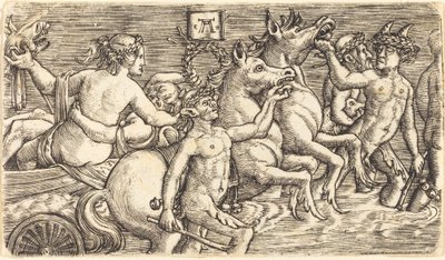 Amoureux conduits par des dieux marins en triomphe - Albrecht Altdorfer