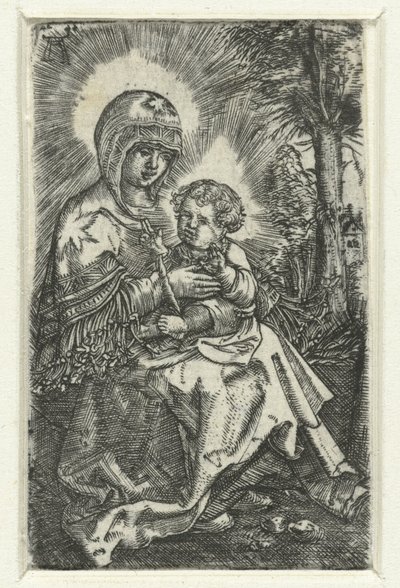 Marie avec enfant dans un paysage - Albrecht Altdorfer