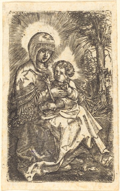 La "Belle Vierge" de Ratisbonne dans un paysage - Albrecht Altdorfer
