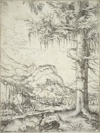 Le grand épicéa, c.1520 - Albrecht Altdorfer