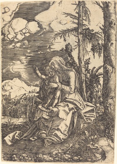 Vierge dans un paysage - Albrecht Altdorfer