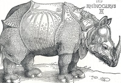 Un rhinocéros - Albrecht Dürer