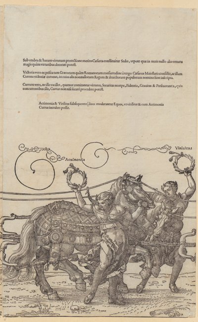  - Albrecht Dürer