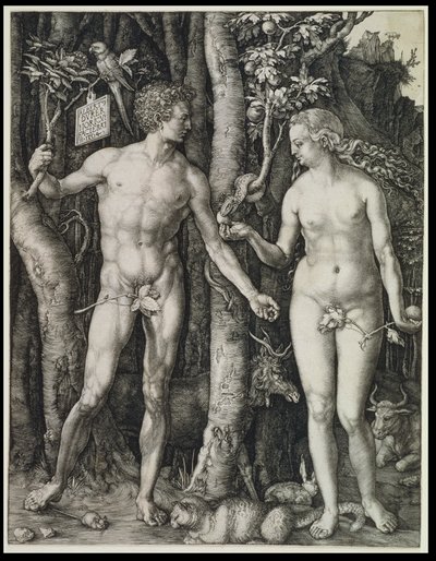  - Albrecht Dürer