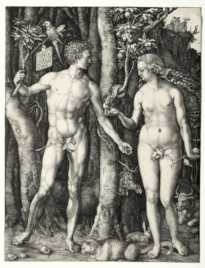 Adam et Ève - Albrecht Dürer