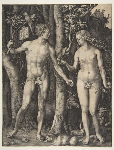  - Albrecht Dürer