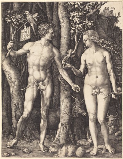  - Albrecht Dürer
