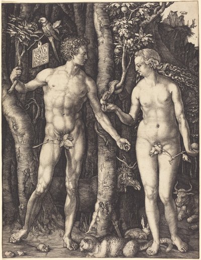  - Albrecht Dürer
