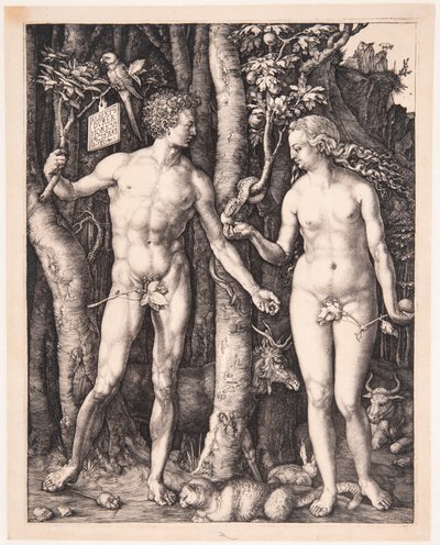  - Albrecht Dürer