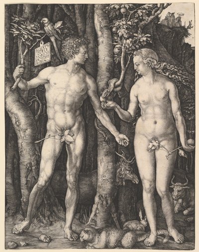  - Albrecht Dürer