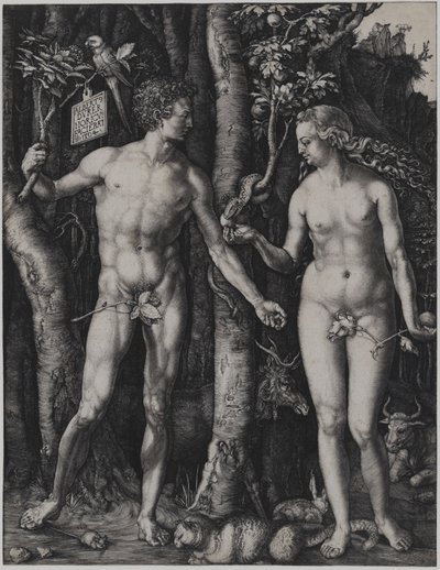  - Albrecht Dürer