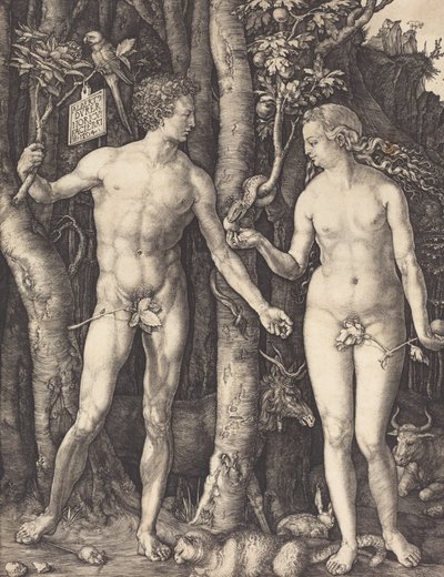 Adam et Ève, 1504 - Albrecht Dürer