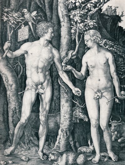 Adam et Ève, 1504 1906 - Albrecht Dürer