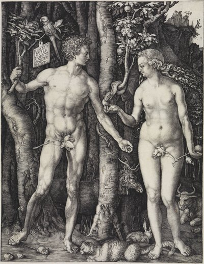  - Albrecht Dürer