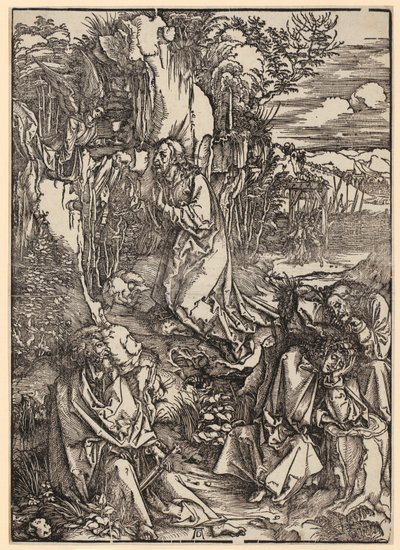  - Albrecht Dürer