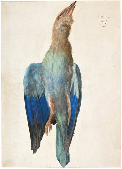 Rollier Mort, 1500 ou 1512 - Albrecht Dürer