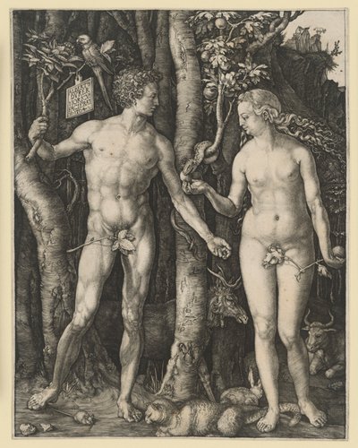  - Albrecht Dürer