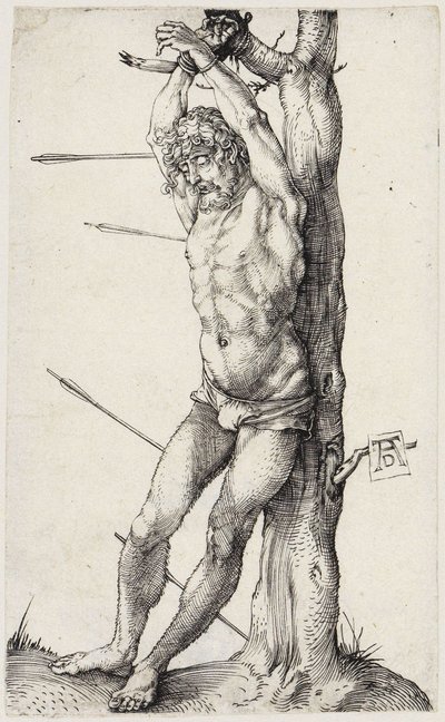Saint Sébastien au Baume - Albrecht Dürer