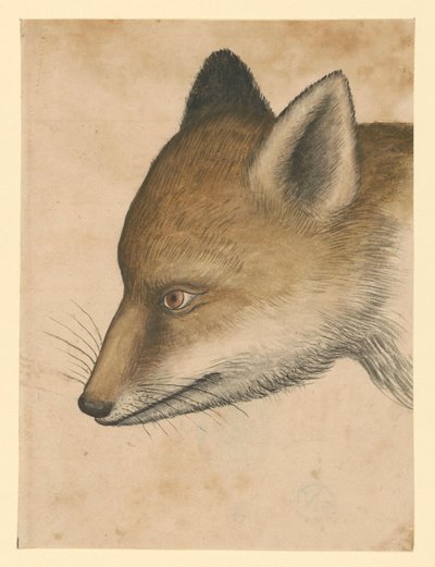  - Albrecht Dürer