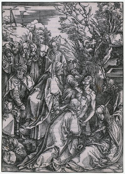  - Albrecht Dürer