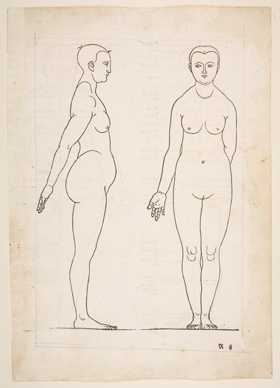 Illustration de Dürers Vier Bücher von Menschlicher Proportion, Nuremberg, 1528 - Albrecht Dürer