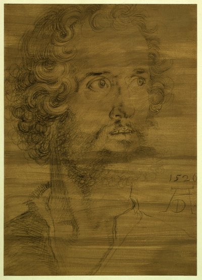  - Albrecht Dürer