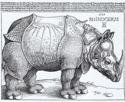 Latin :  Rhinocerus Le Rhinocéros - Albrecht Dürer